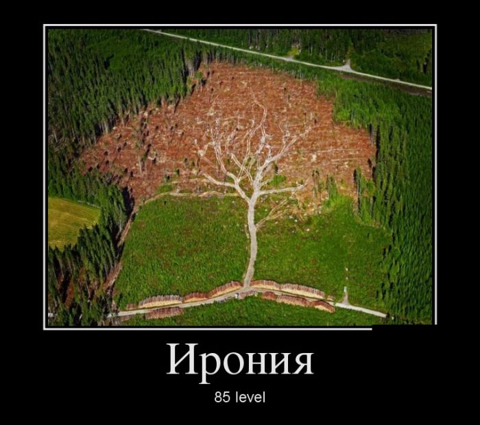 Подборка ржачных демотиваторов.