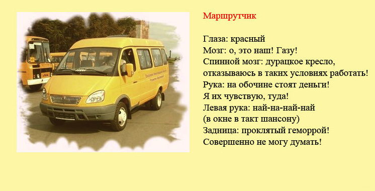 Классификация разных групп водителей в картинках.