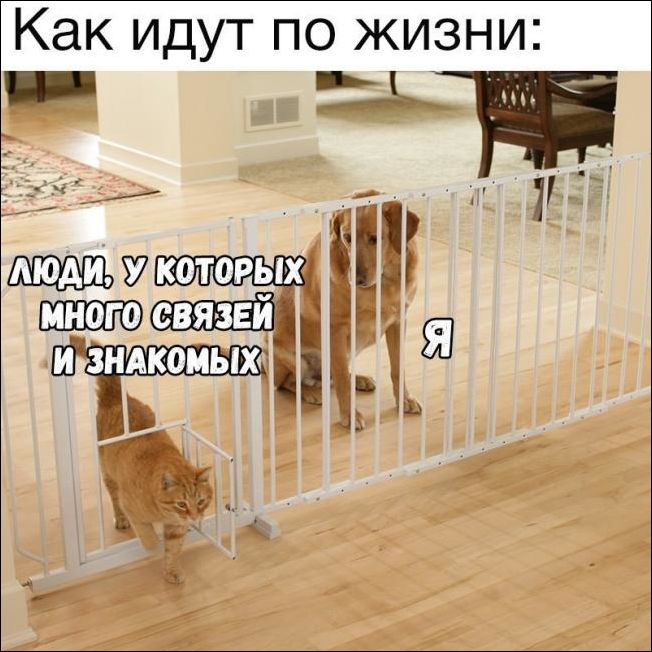 Прикольные картинки (30 штук)