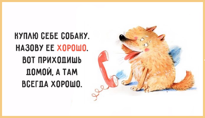 Забавные советы картинки