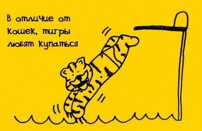 Интересные Факты, тема продолжается.