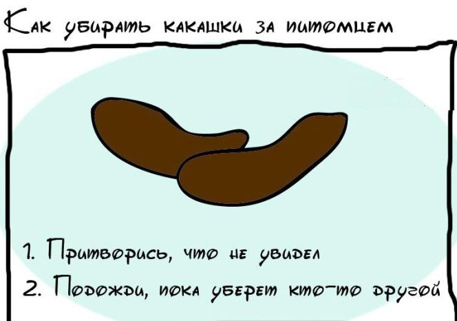 Прикольные вредные советы