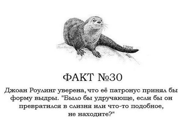 Интересные факты о Гарри Поттере.