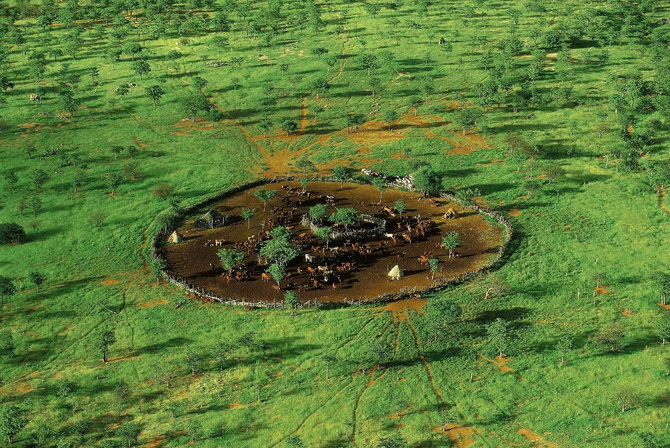 Мастер ви Yann Arthus-Bertrand