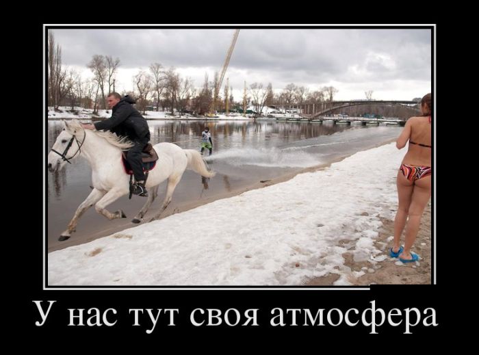 Прикольные демотиваторы, новые картинки с фразами.