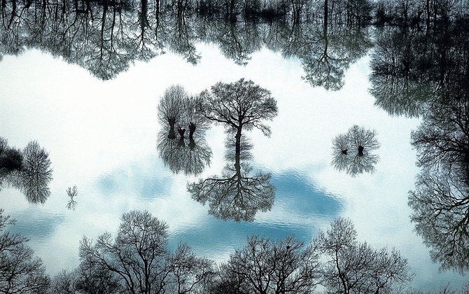 Мастер ви Yann Arthus-Bertrand