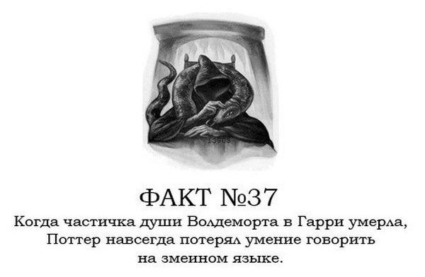 Интересные факты о Гарри Поттере.