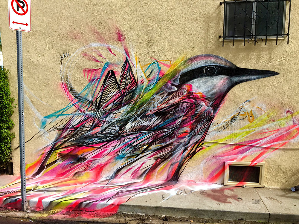 Хаотичные, уличные рисунки птиц