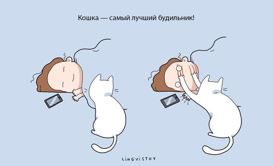 Преимущество в том, что бы завести себе кошку