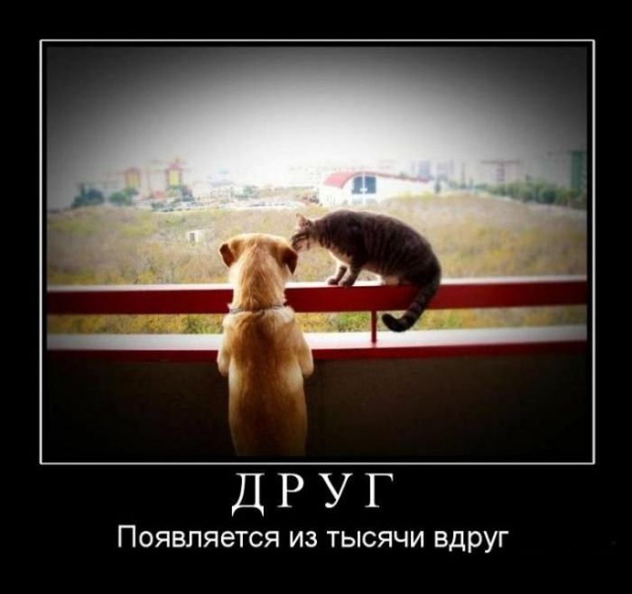 Демотиваторы с прикольным смыслом.