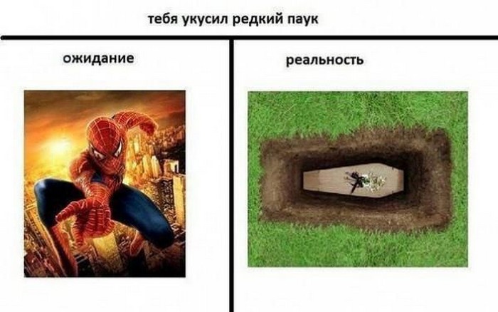 Представление и реальность картинки