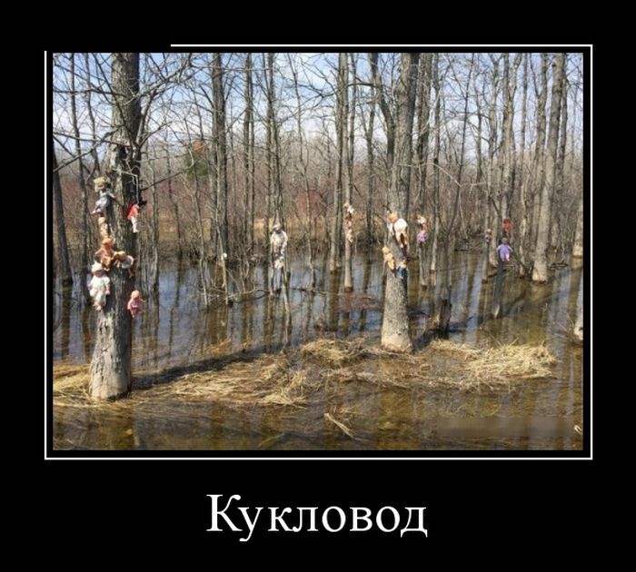 Новые демотиваторы, приколы в цитатах и фотках.