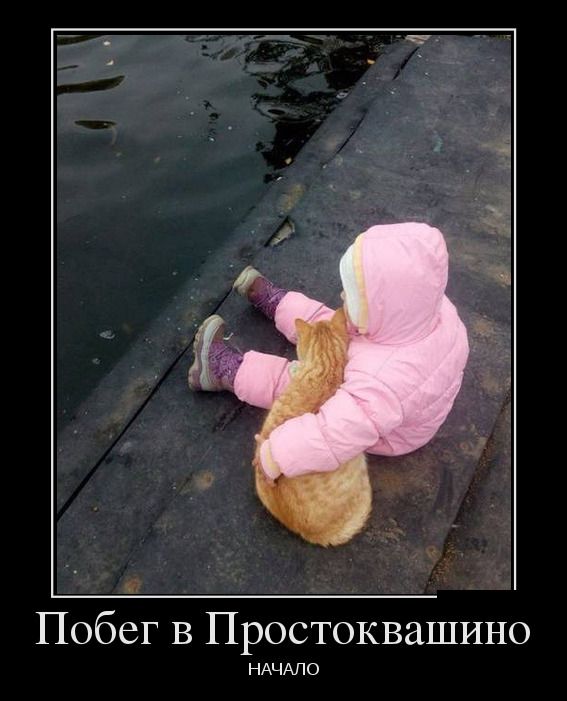 За день накопилось так много прикольных демотиваторов.