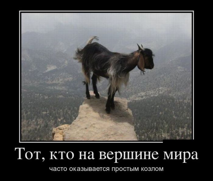 Прикольные демотиваторы для тебя.