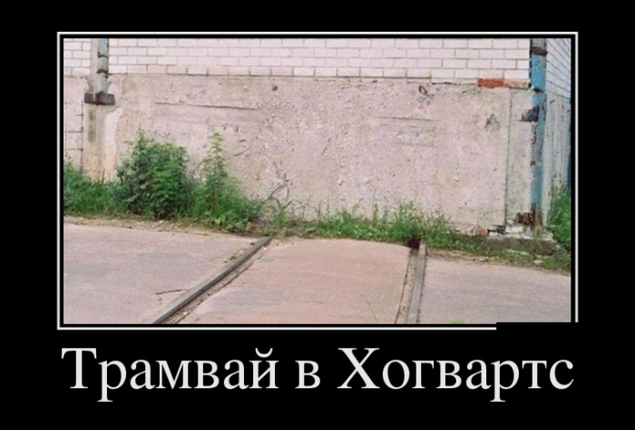 Картинки прикольные и фразы в подборке демотиваторов.