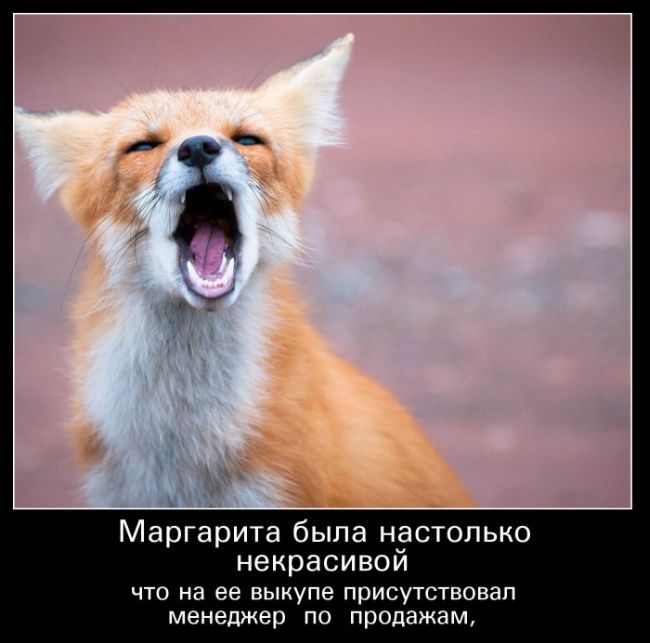 Демотиваторы дня, прикольные картинки и фразы.