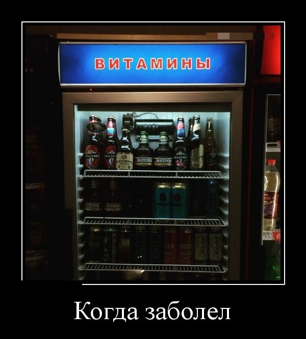 Демотиваторы поднимут любое настроение.