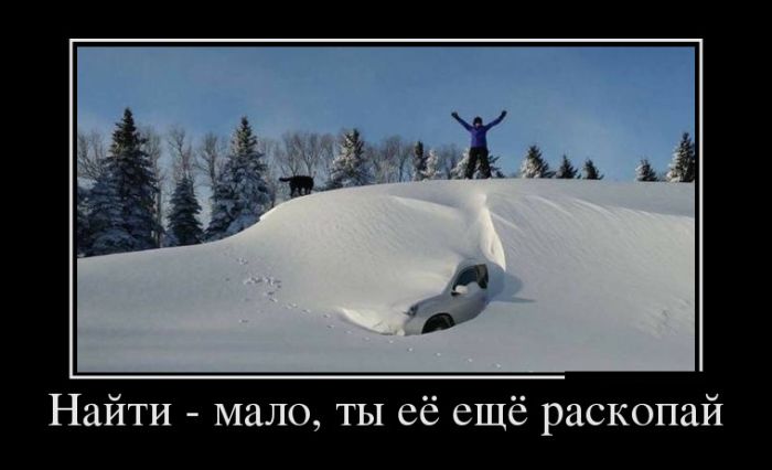 Демотиваторы, прикольные фотки и новые фразы.