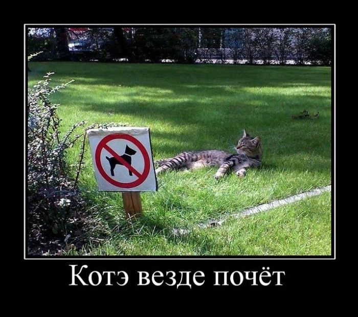 Свежие демотиваторы на Ёжин.ру