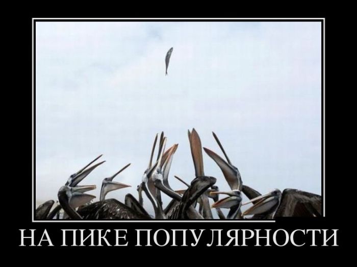 Прикольные демотиваторы, для ценителей позитива.