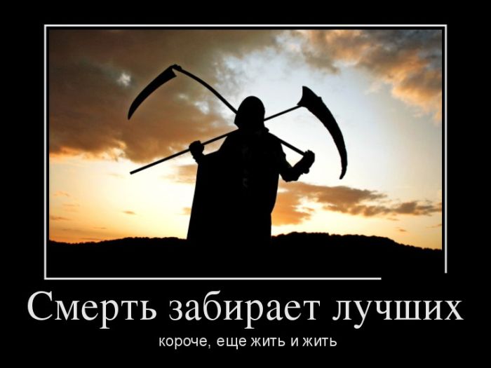 Демотиваторы не лихорадит.