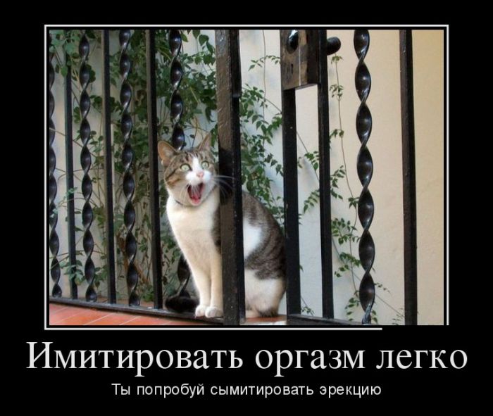 Демотиваторы на выходные.