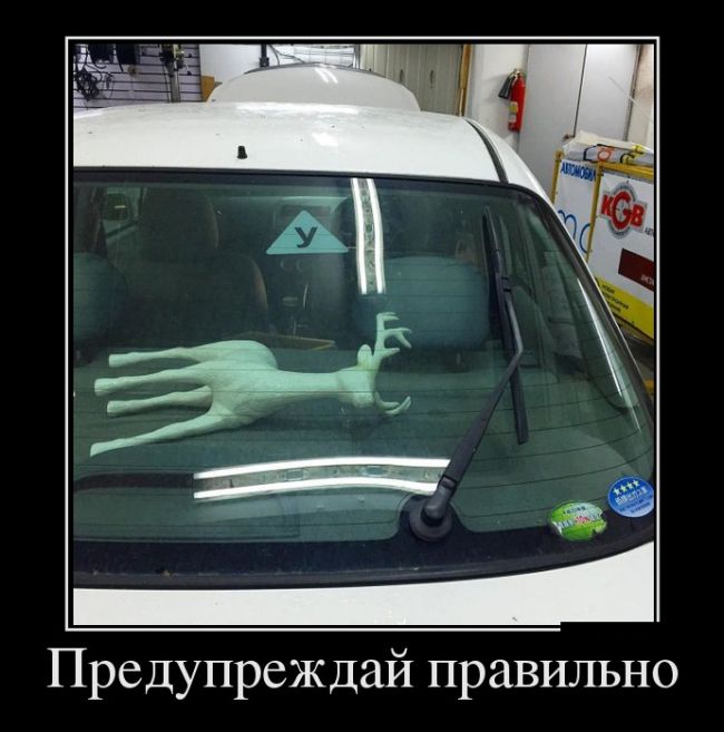 Классная подборка новых демотиваторов.