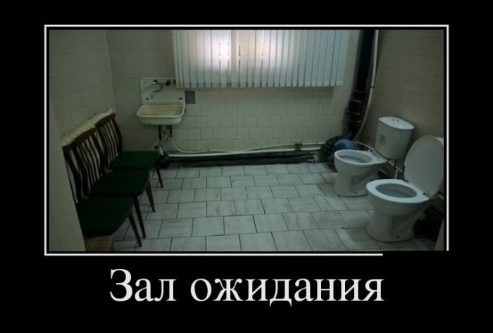 Демотиваторы фото с приколами.