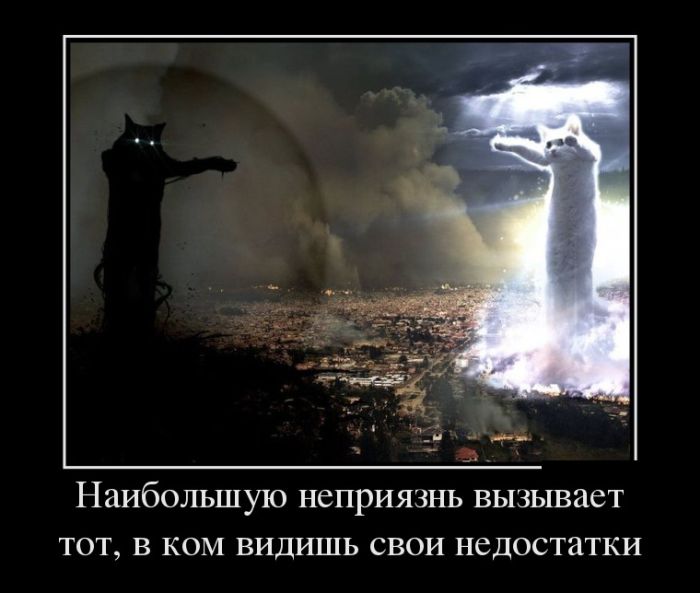 Новые приколы в демотиваторах, фразы и картинки.