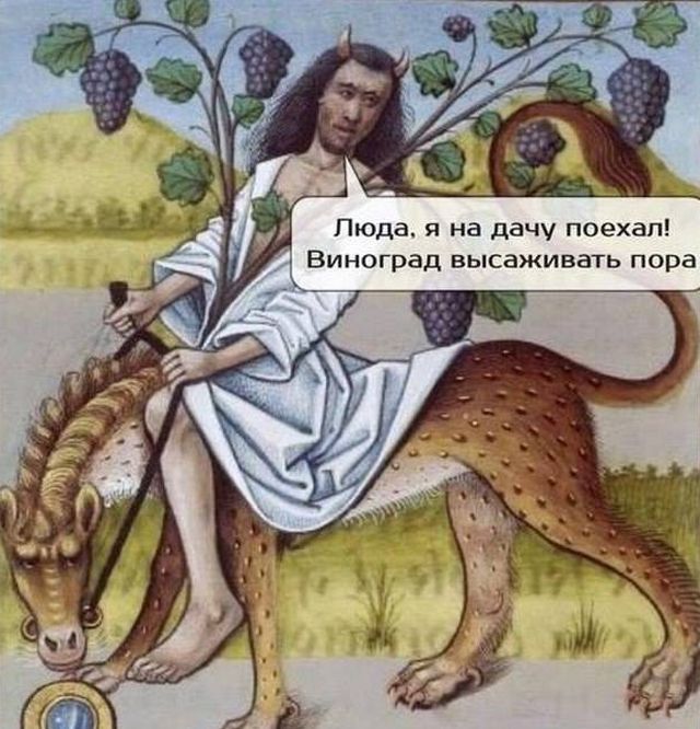Прикольные картинки (30 фото)