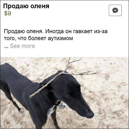 Прикольные картинки (30 штук)