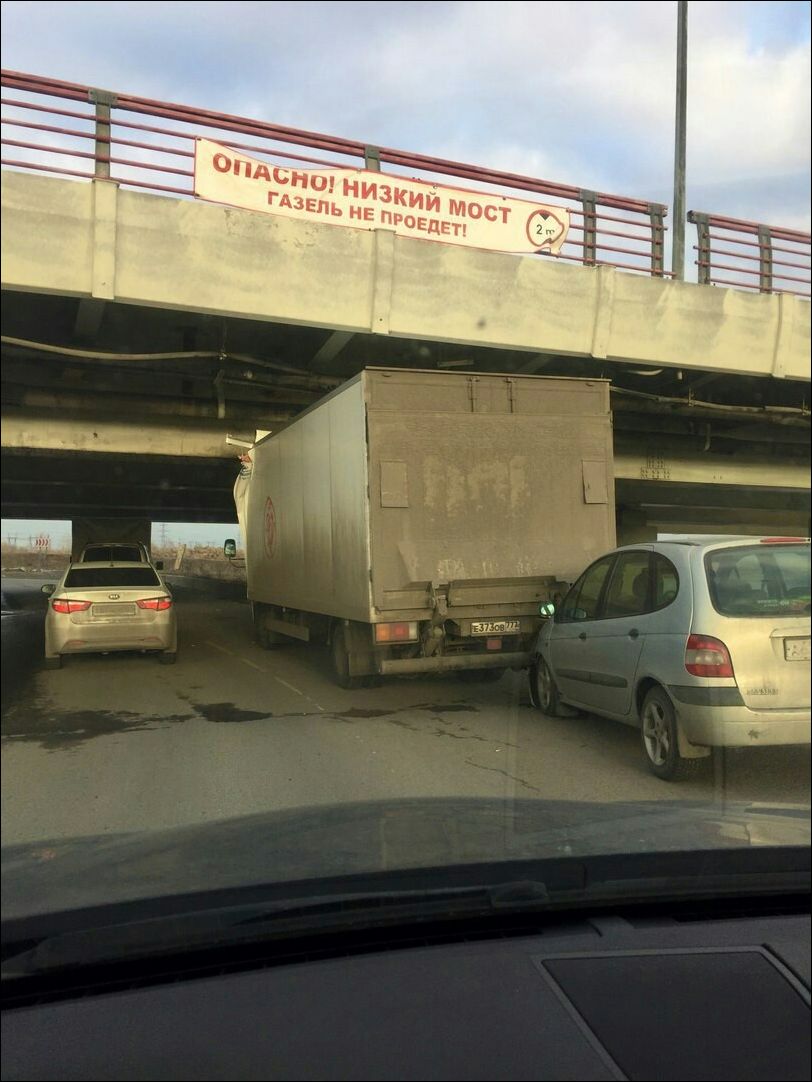 Прикольные картинки.