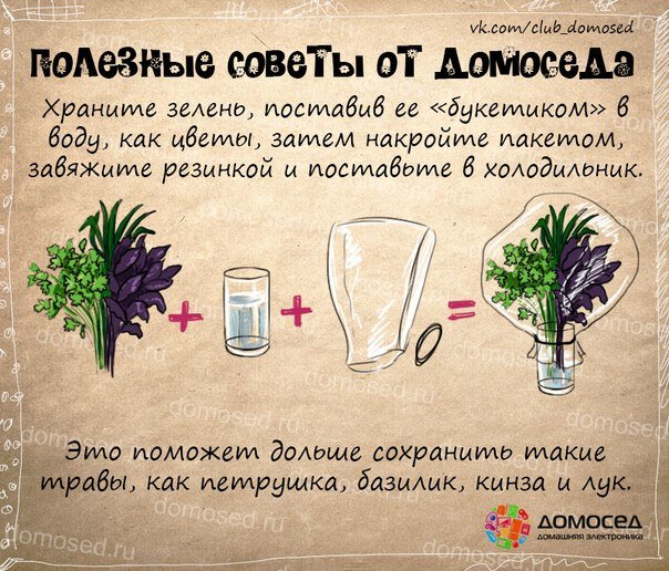 Полезные советы, все для Вас