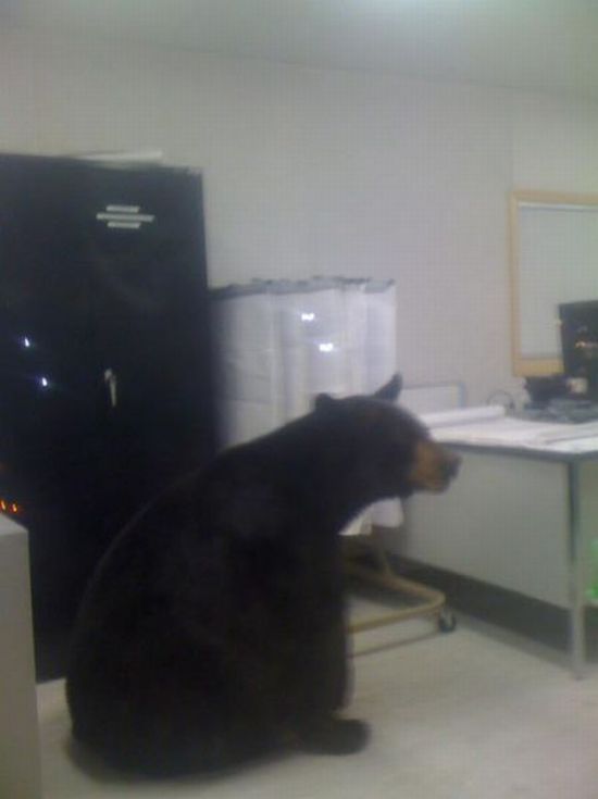 Суровый офисный работник