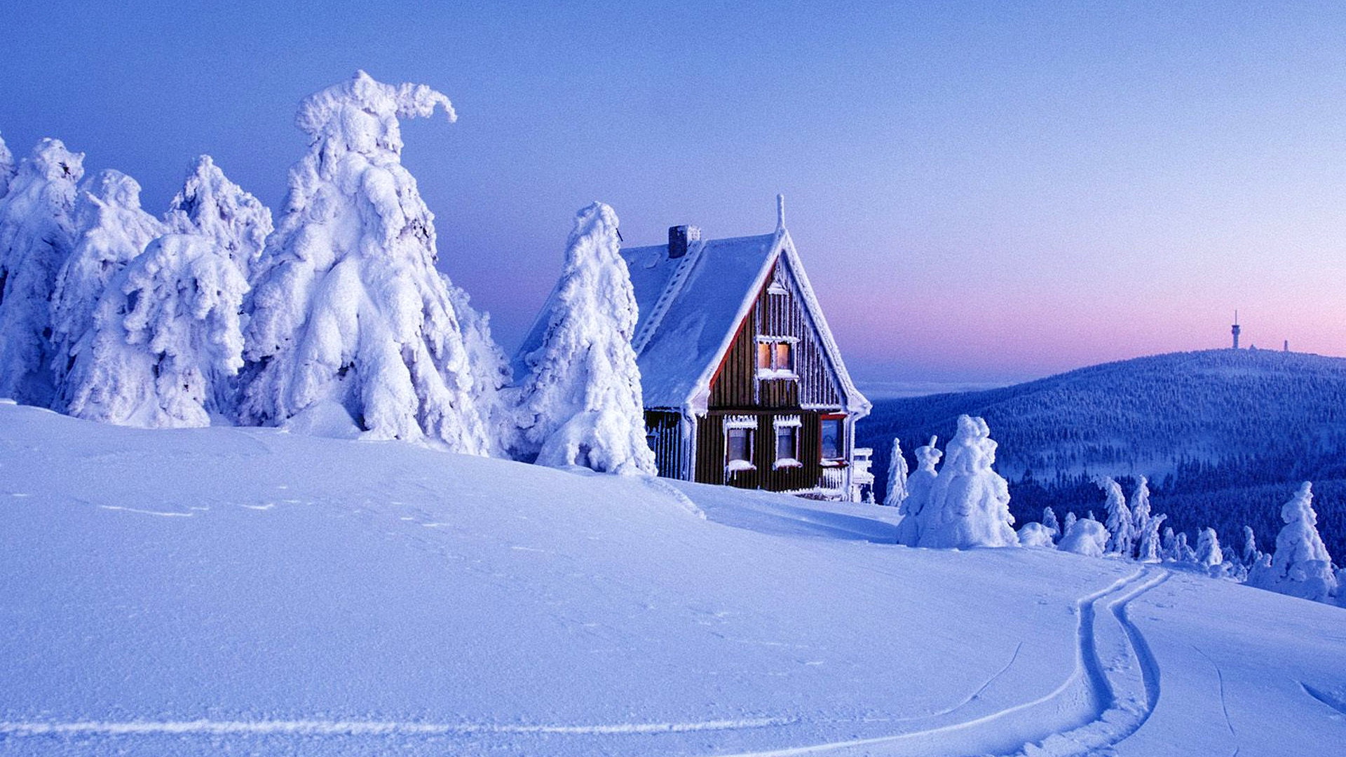 Snow-Covered Trees, Hochharz National Park, Saxony-Anhalt, Germany без смс