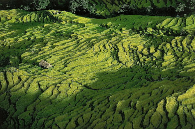 Мастер ви Yann Arthus-Bertrand