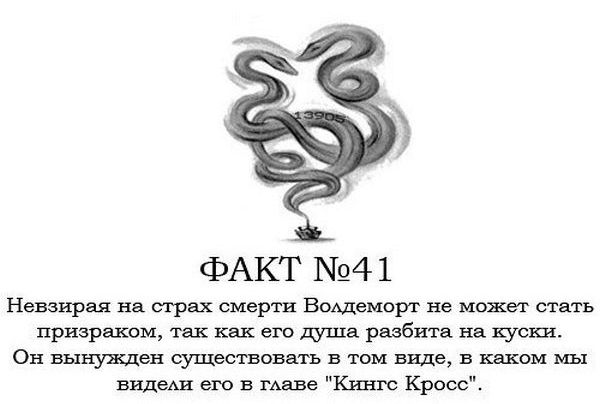 Интересные факты о Гарри Поттере.