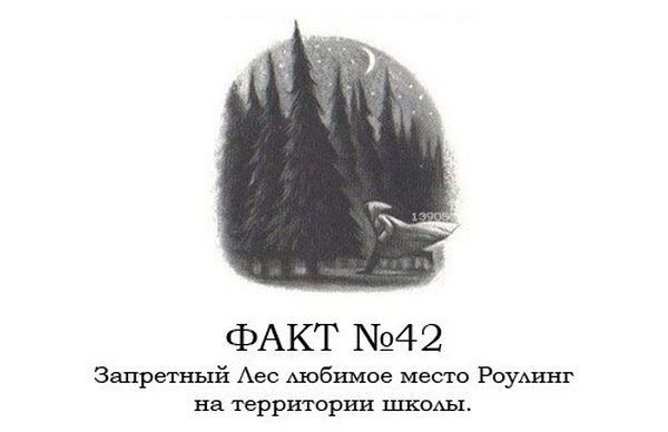 Интересные факты о Гарри Поттере.