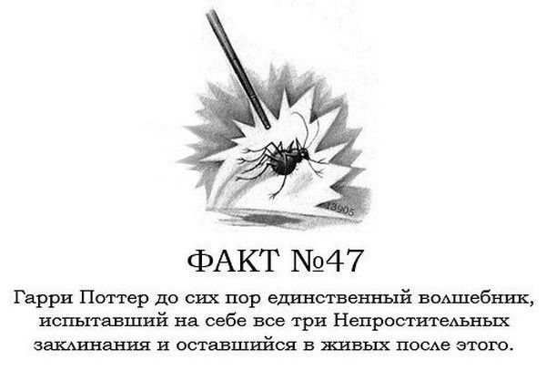 Интересные факты о Гарри Поттере.