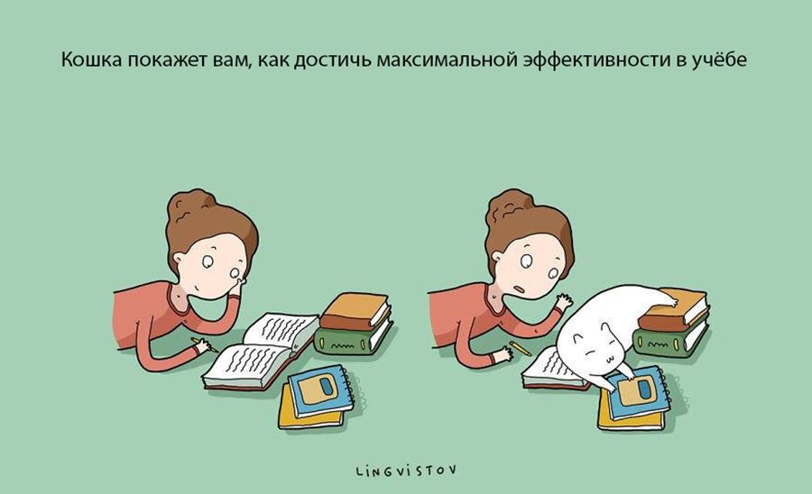 Преимущество в том, что бы завести себе кошку
