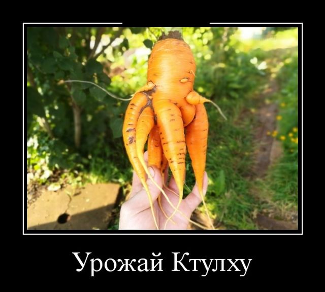 Без демотиваторов - никуда!