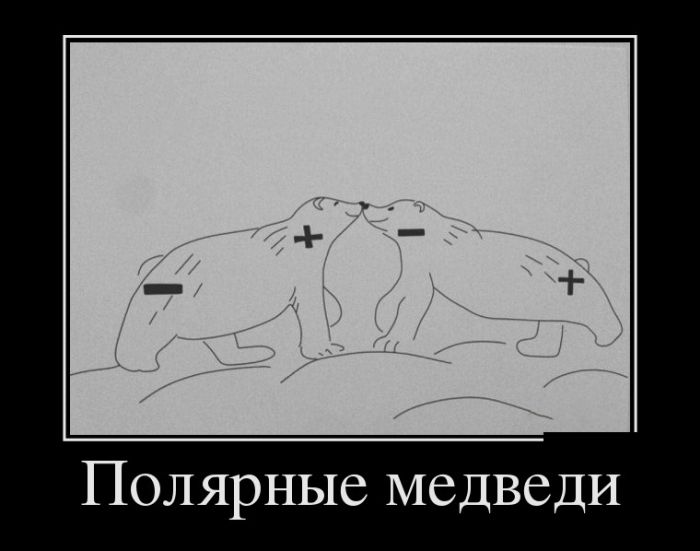 Новые демотиваторы, все больше приколов.