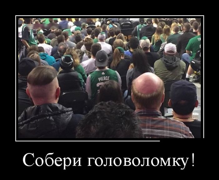 Картинки прикольные и фразы в подборке демотиваторов.