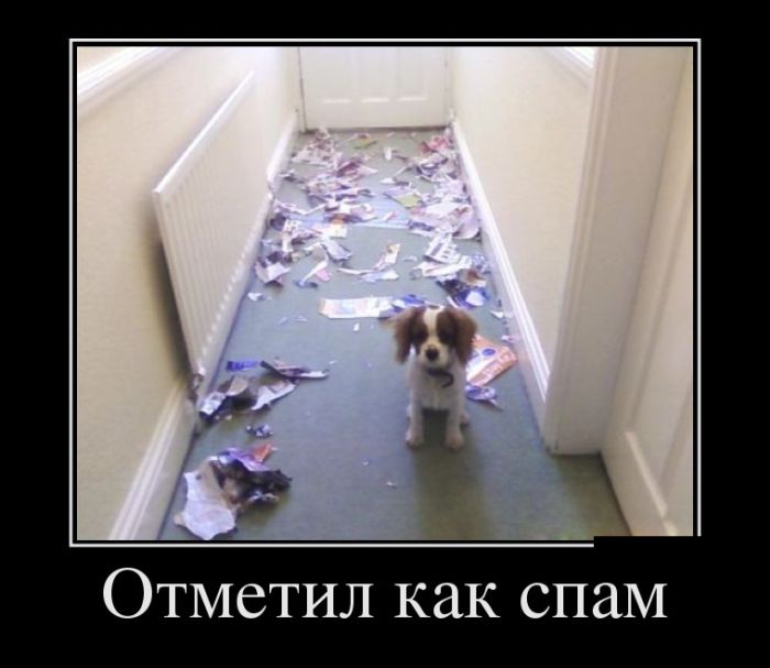 Супер демотиваторы, картинки и прикольный текст.