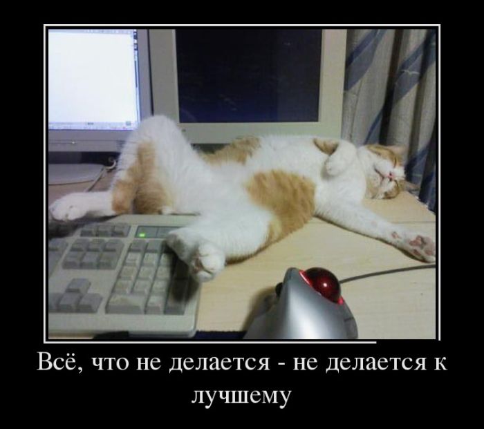 Лучшие демотиваторы на самые прикольные темы.
