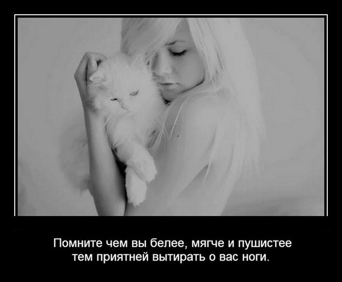 Демотиваторы дня, прикольные картинки и фразы.