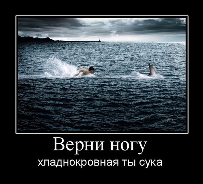 Новые демотиваторы и так поехали...