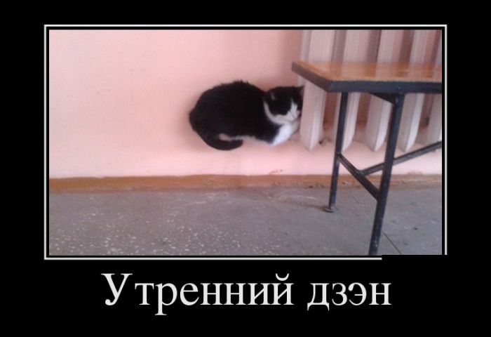 Демотиваторы, это прикольно не лишай себя удовольствия.