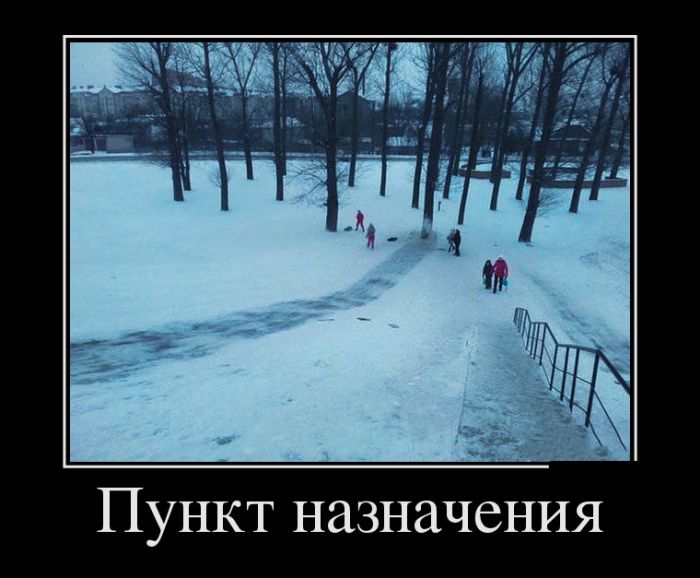 Демотиваторы, позитив и приколы повсюду.