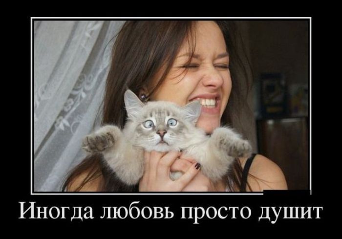 Демотиваторы веселенькие, для поднятия.